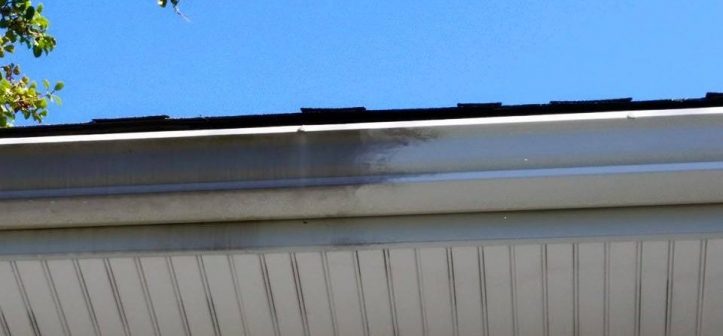 gutter cleaning