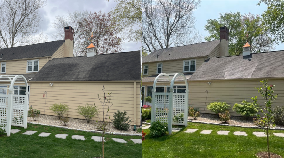 Wethersfield Asphalt Roof Cleaning
