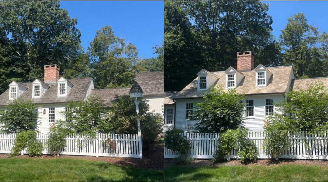 Essex Cedar Roof Cleaning