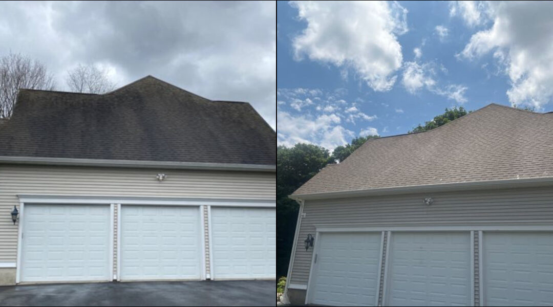 Berlin Asphalt Roof Cleaning