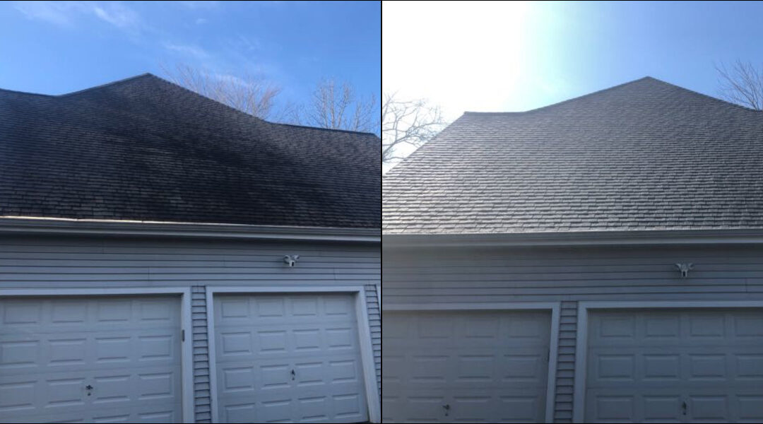 Wethersfield Asphalt Roof Cleaning