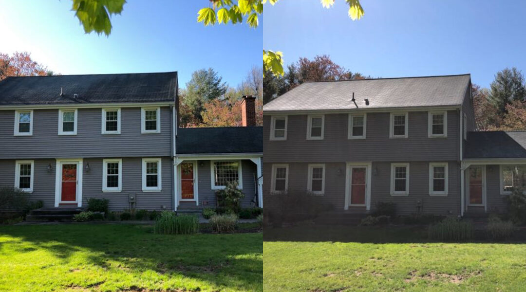 Bloomfield Asphalt Roof Cleaning