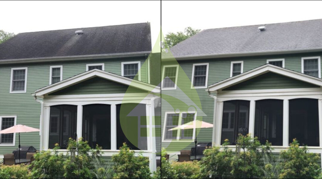 Windsor Asphalt Roof Cleaning