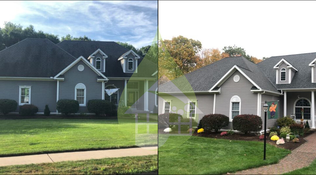 Bristol Asphalt Roof Cleaning