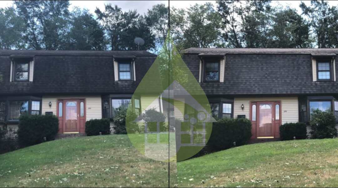 South Windsor Asphalt Roof Cleaning