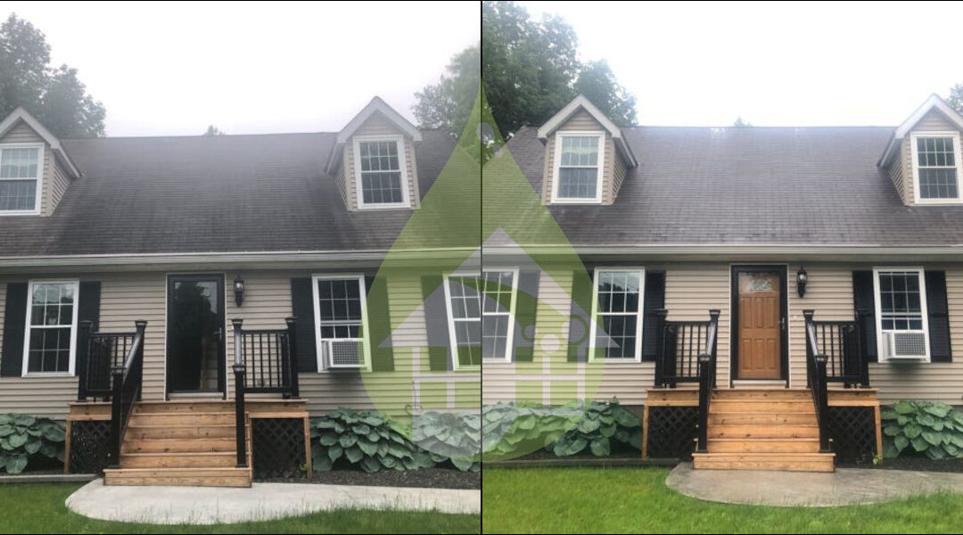 Plainfield Asphalt Roof Cleaning