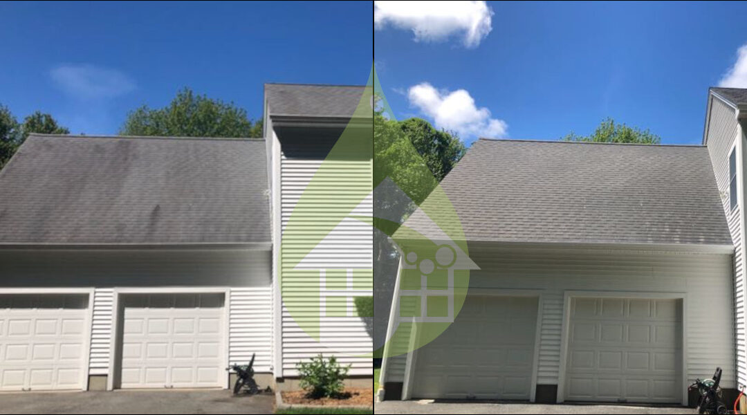 Woodstock Asphalt Roof Cleaning