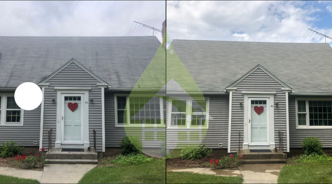 East Hampton Asphalt Roof Cleaning