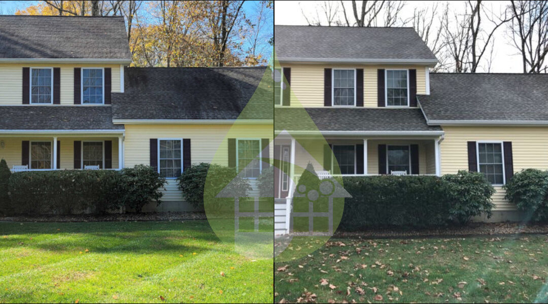 Stratford Asphalt Roof Cleaning