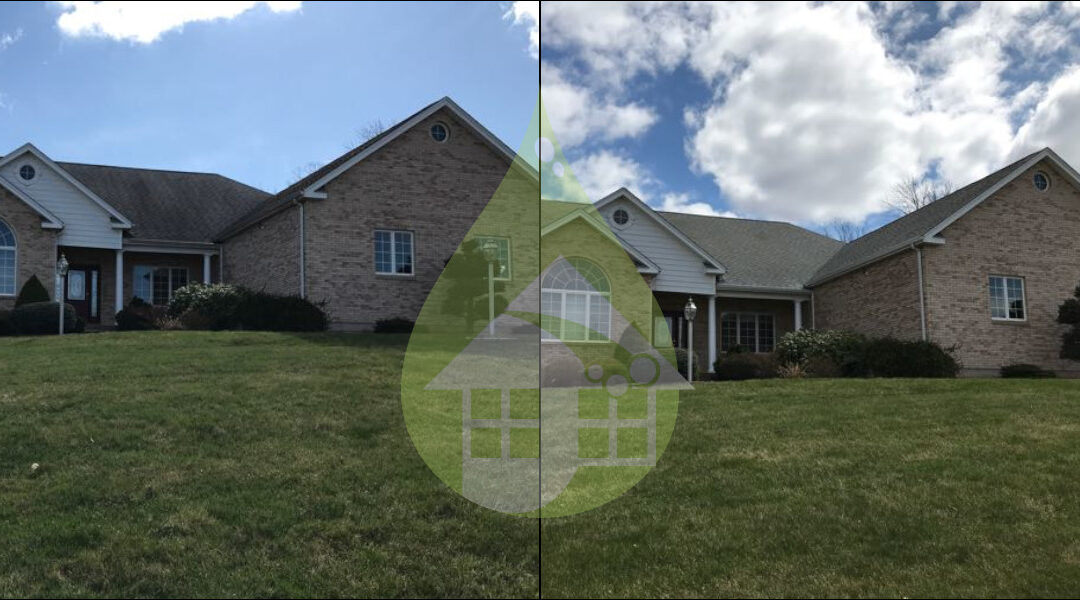 Middletown Asphalt Roof Cleaning