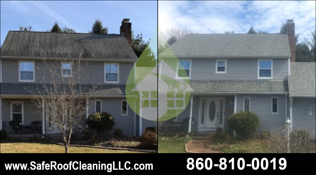 Windsor Asphalt Roof Cleaning