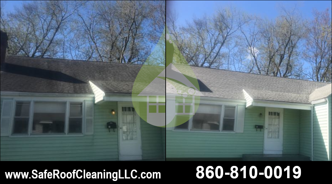 Windsor Asphalt Roof Cleaning