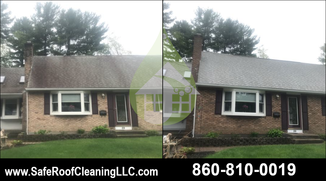 Enfield Asphalt Roof Cleaning
