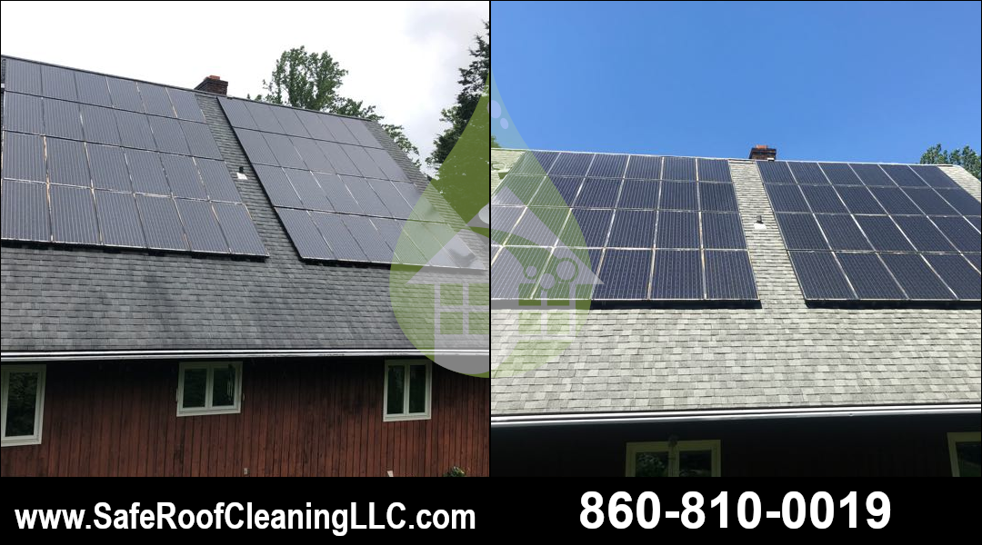 Shelton Asphalt Roof Cleaning