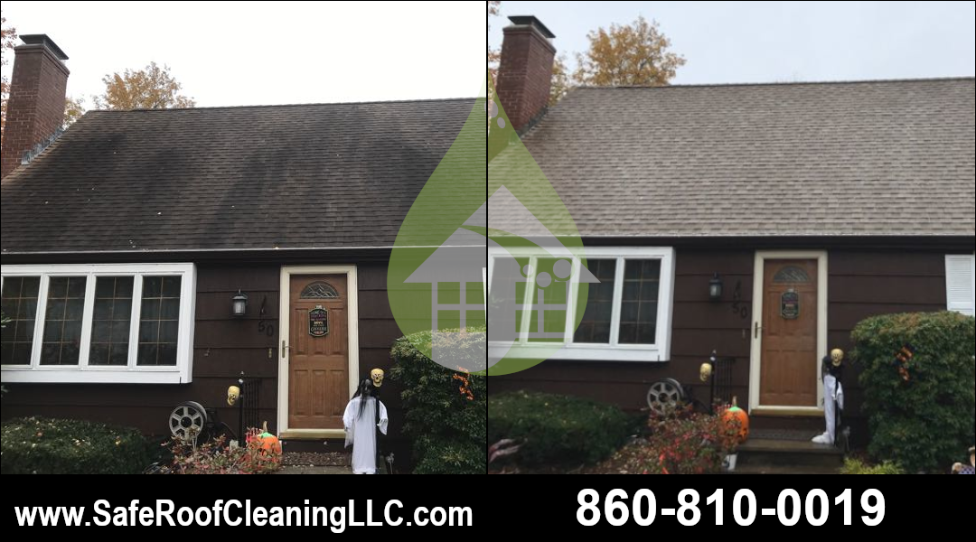 Plainville Asphalt Roof Cleaning