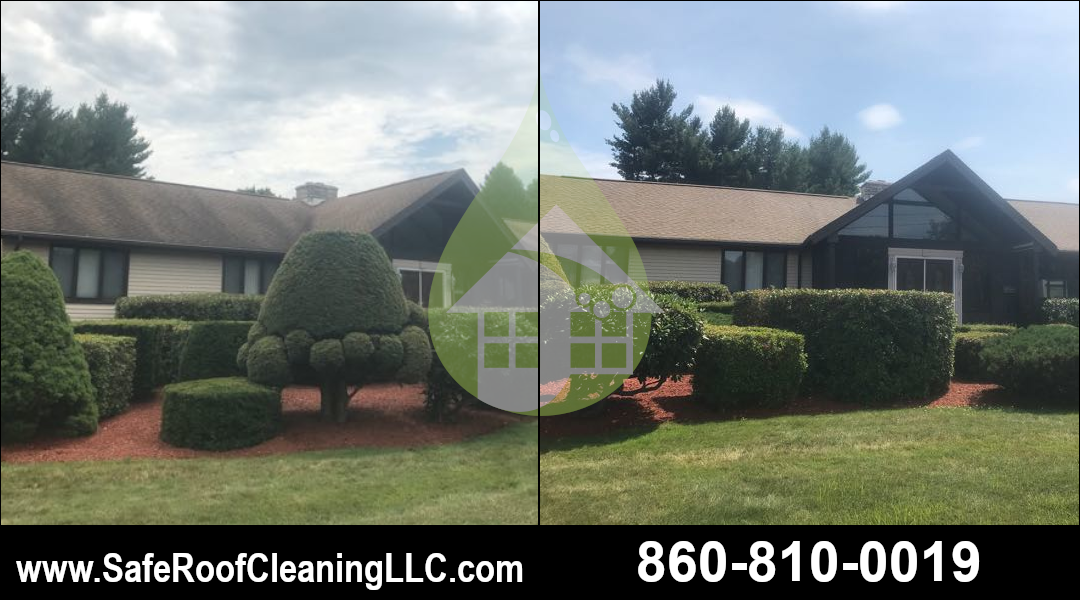 Newington Asphalt Roof Cleaning