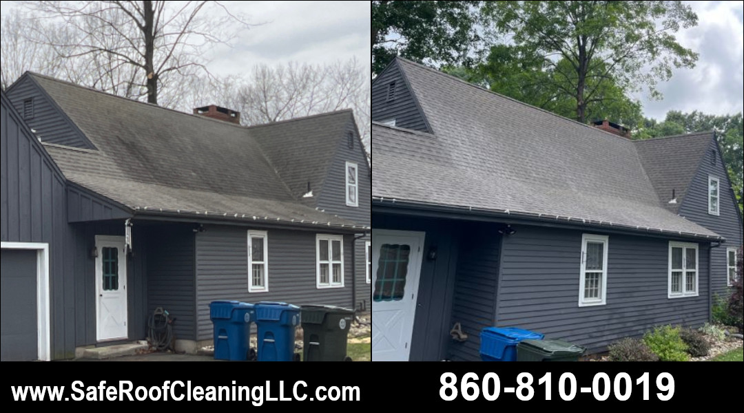 Berlin Asphalt Roof Cleaning