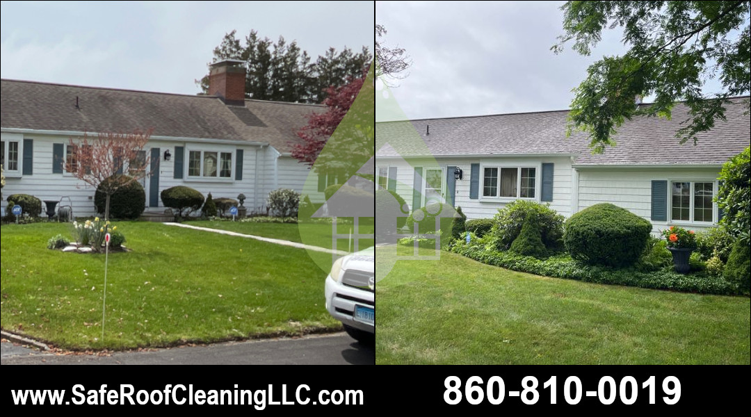 Niantic Asphalt Roof Cleaning