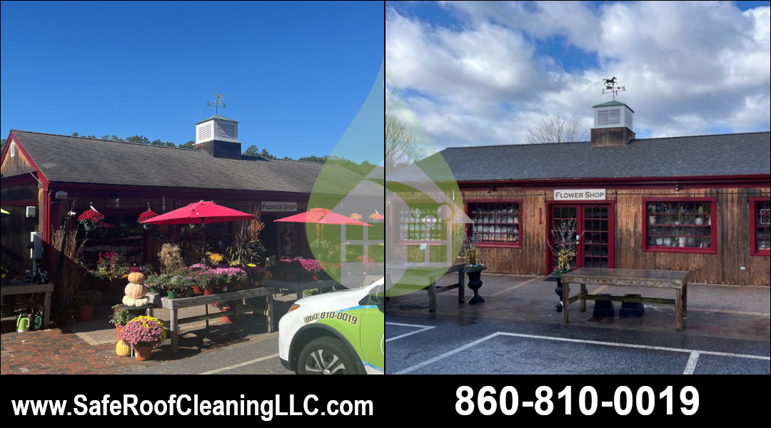 Canton Asphalt Roof Cleaning