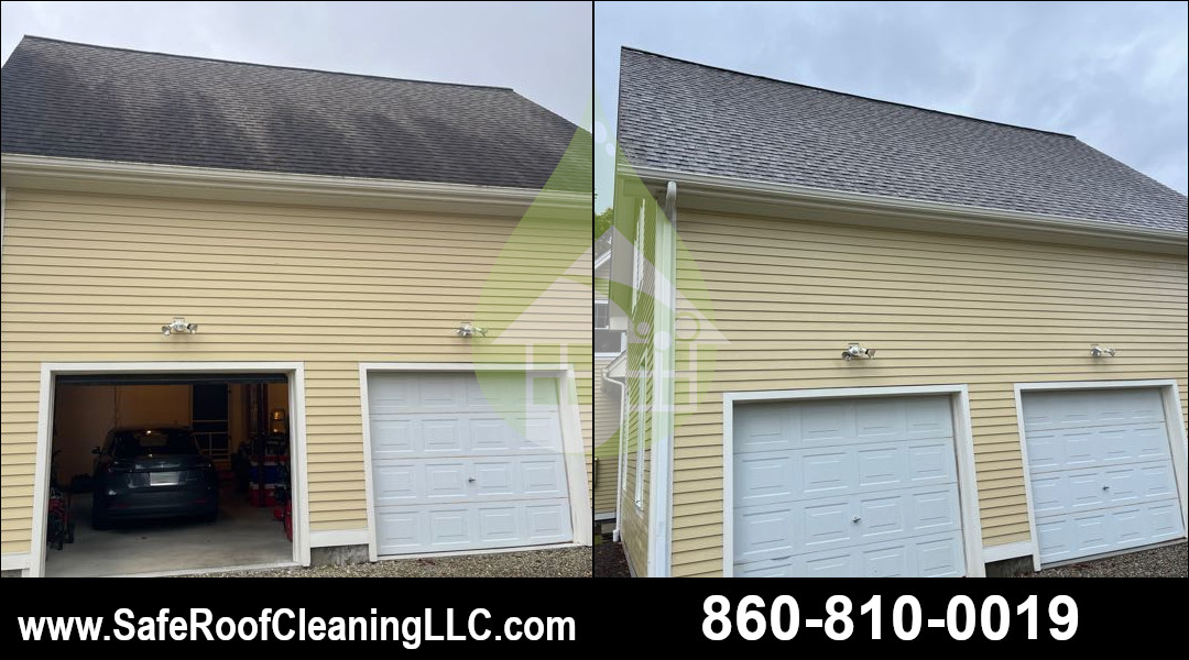 Ashford Asphalt Roof Cleaning