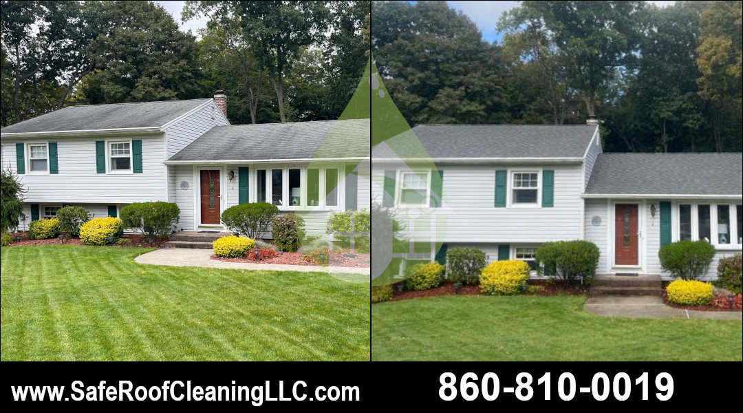 Wallingford Asphalt Roof Cleaning