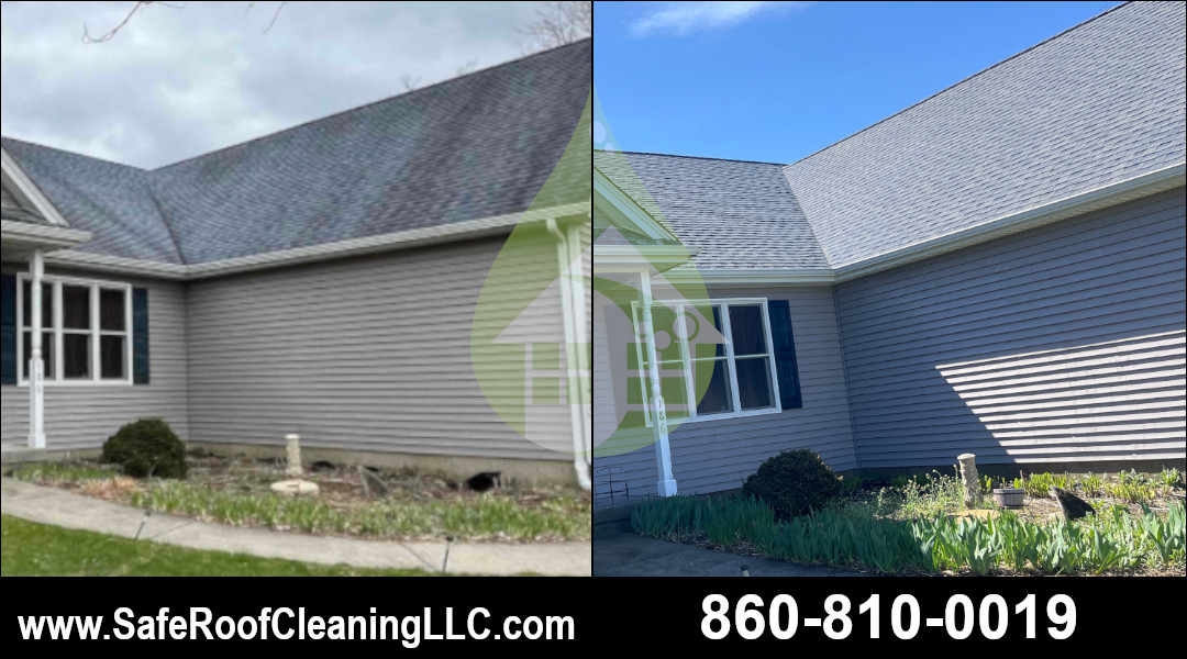 Norwich Asphalt Roof Cleaning