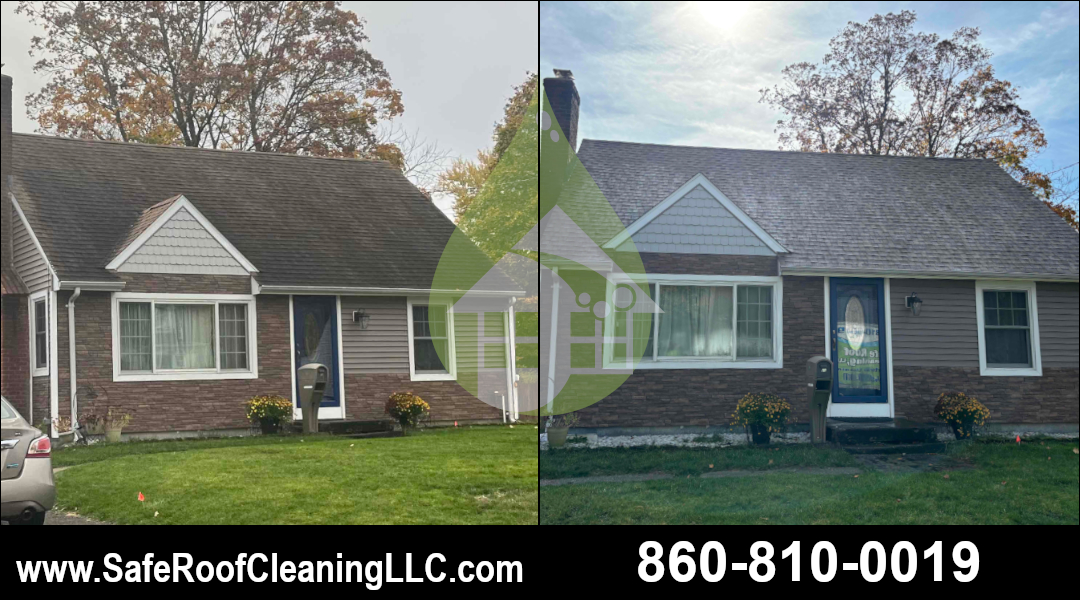 Enfield Asphalt Roof Cleaning